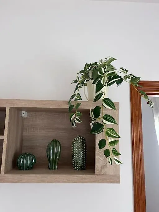 アパート アロナCasa Lunitaアパートメント
